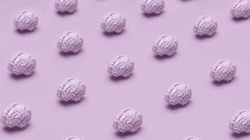 graphic of brains floating on a purple background