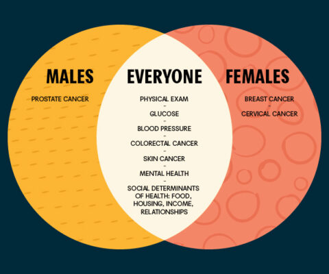 Venn Diagram showing what screens everyone should have. It also calls out men and women specific screens.