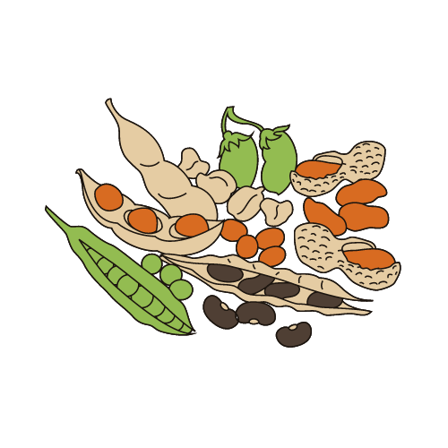 legumes graphic