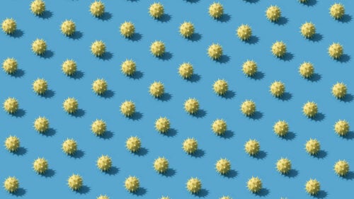 Clinical Corner blog header graphic, Common Seasonal Illnesses: How to Identify and Treat Them