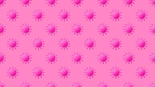 Blog Header Image Sep Member Arc